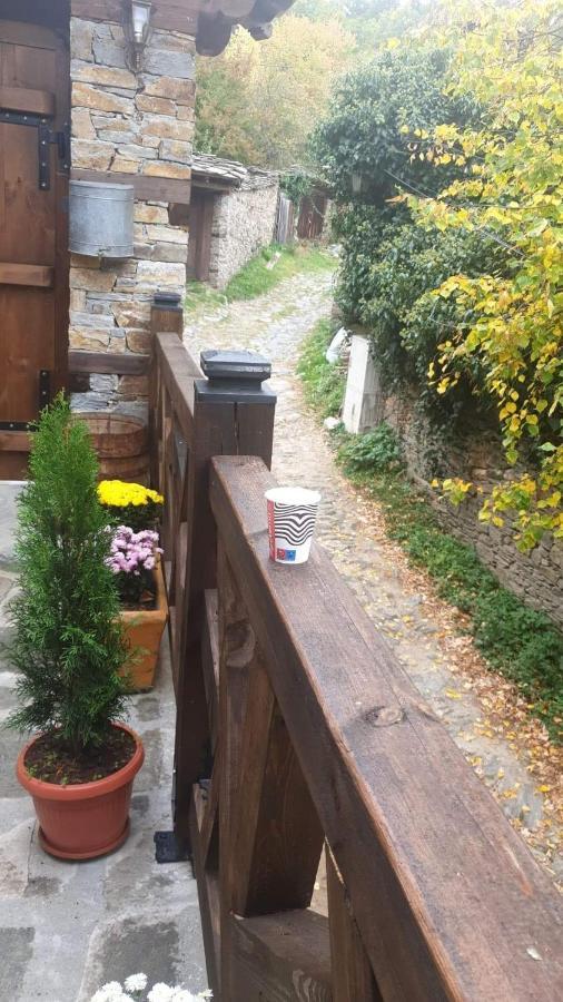 Къща За Гости Близнаците Leşten Exterior foto